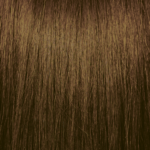 8.3 Light Golden Blonde