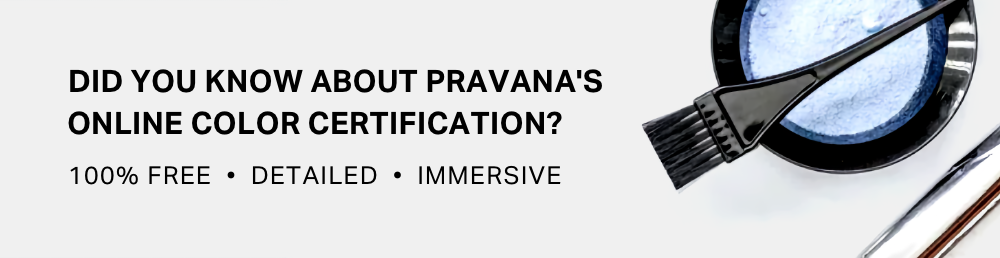 Did You Know About PRAVANA's Online Color Certification? 100% Free, Detailed and Immersive