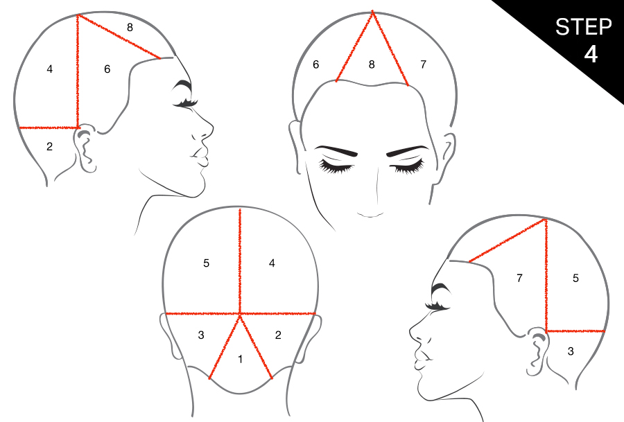 Red Hot Geometric VIVIDS Step 4: Geometric Color Sectioning
