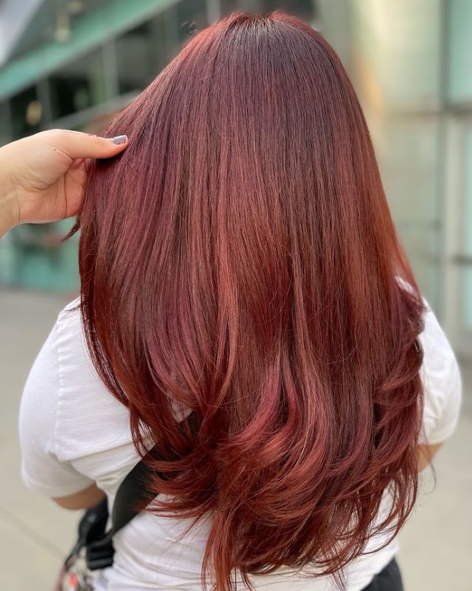 Cherry Cola hair, image by @rebeccachavezhair_ on Instagram