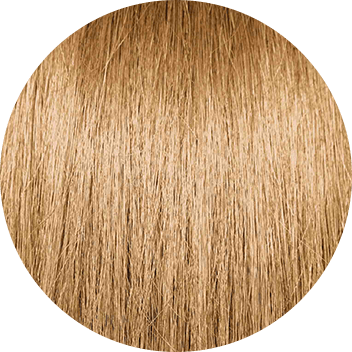 PRAVANA 7G Golden Blonde Swatch