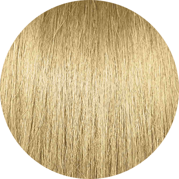 PRAVANA 9G Very Light Golden Blonde Swatch