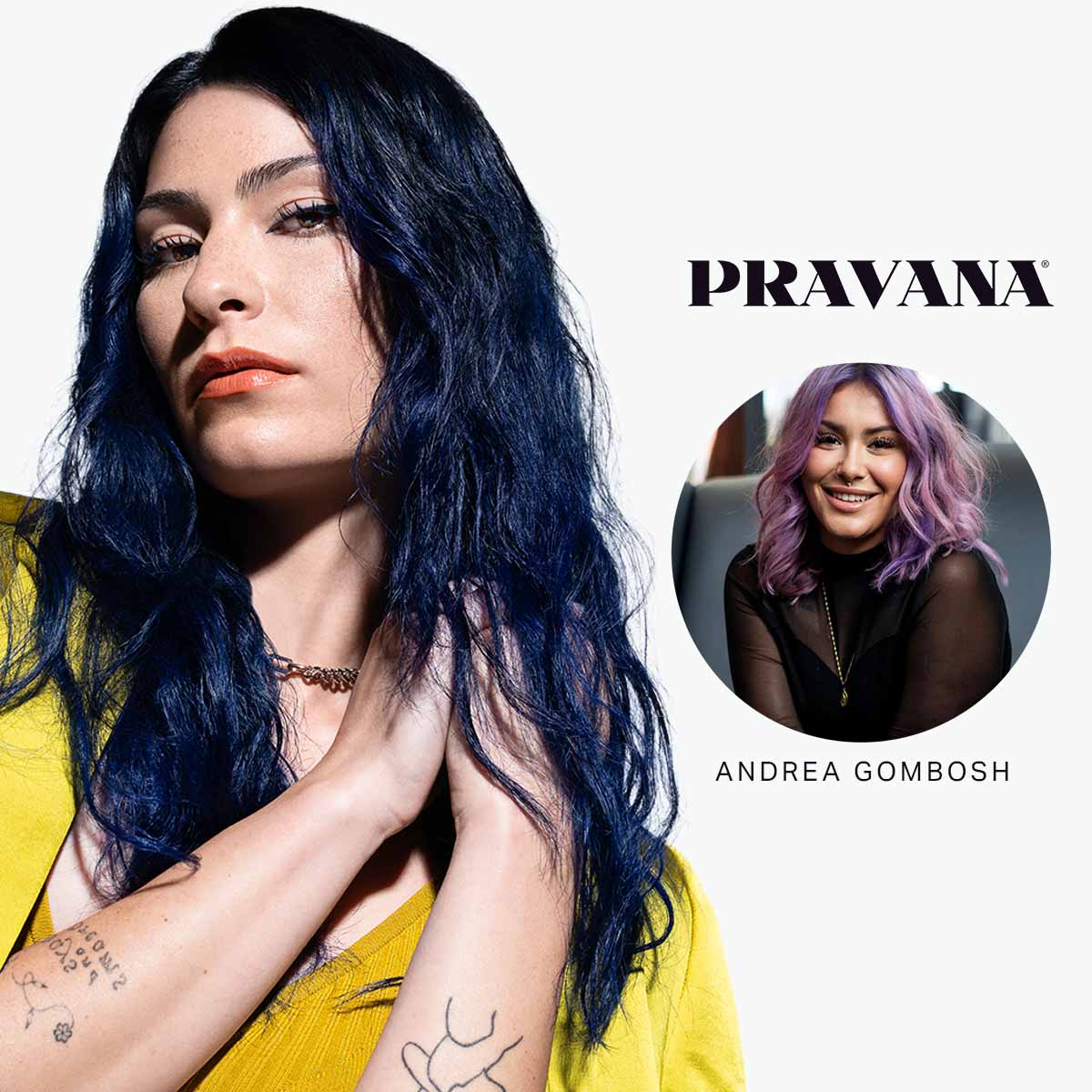 VIVIDS Essentials PRAVANA Digital Event by Andrea Gombosh